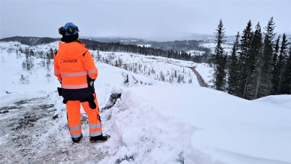 Oversikt over området. Her ser du linje 20.000 fra E12 opp til rundkjøringen, samt linje 21.000 og linje 22.000 opp til flyplassen.