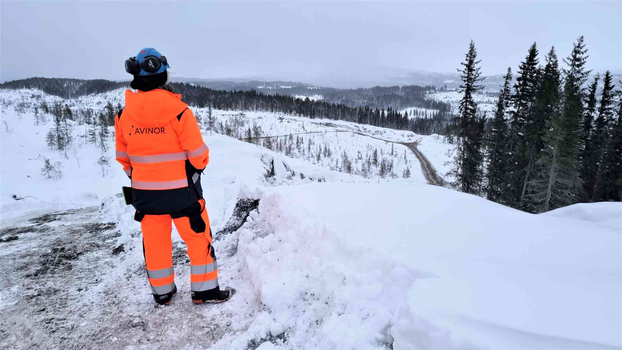 Oversikt over området. Her ser du linje 20.000 fra E12 opp til rundkjøringen, samt linje 21.000 og linje 22.000 opp til flyplassen.